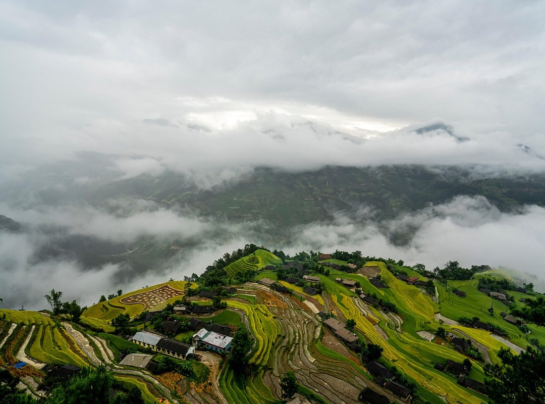 How Foxtpax Software Work