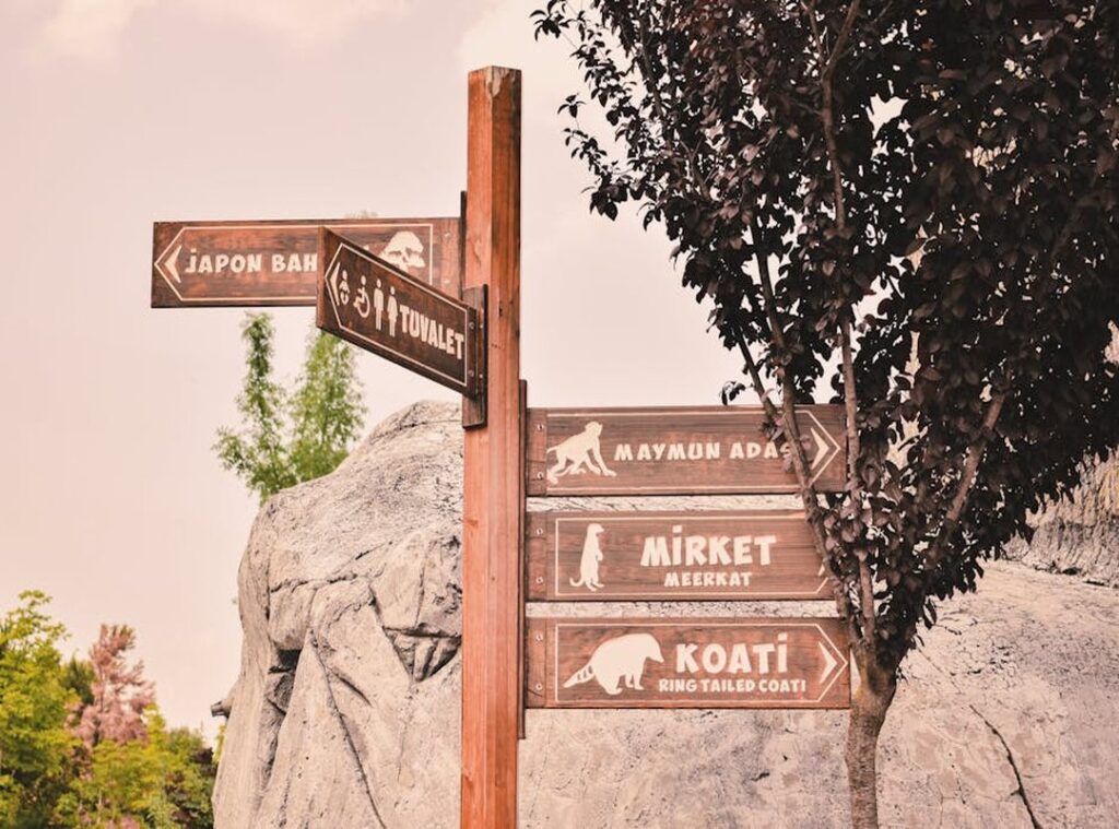 personajes canciones del zoo png