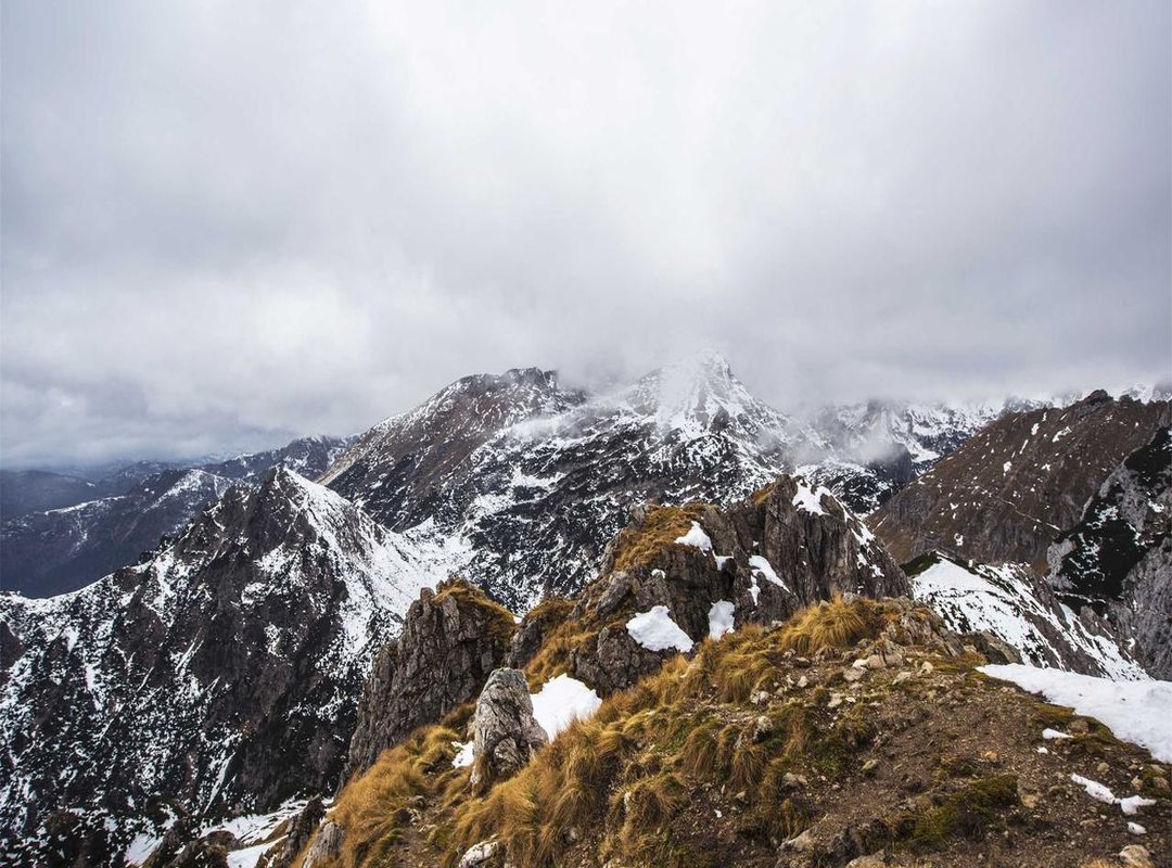 The Community and Culture: Who Follows Daddy Ash?