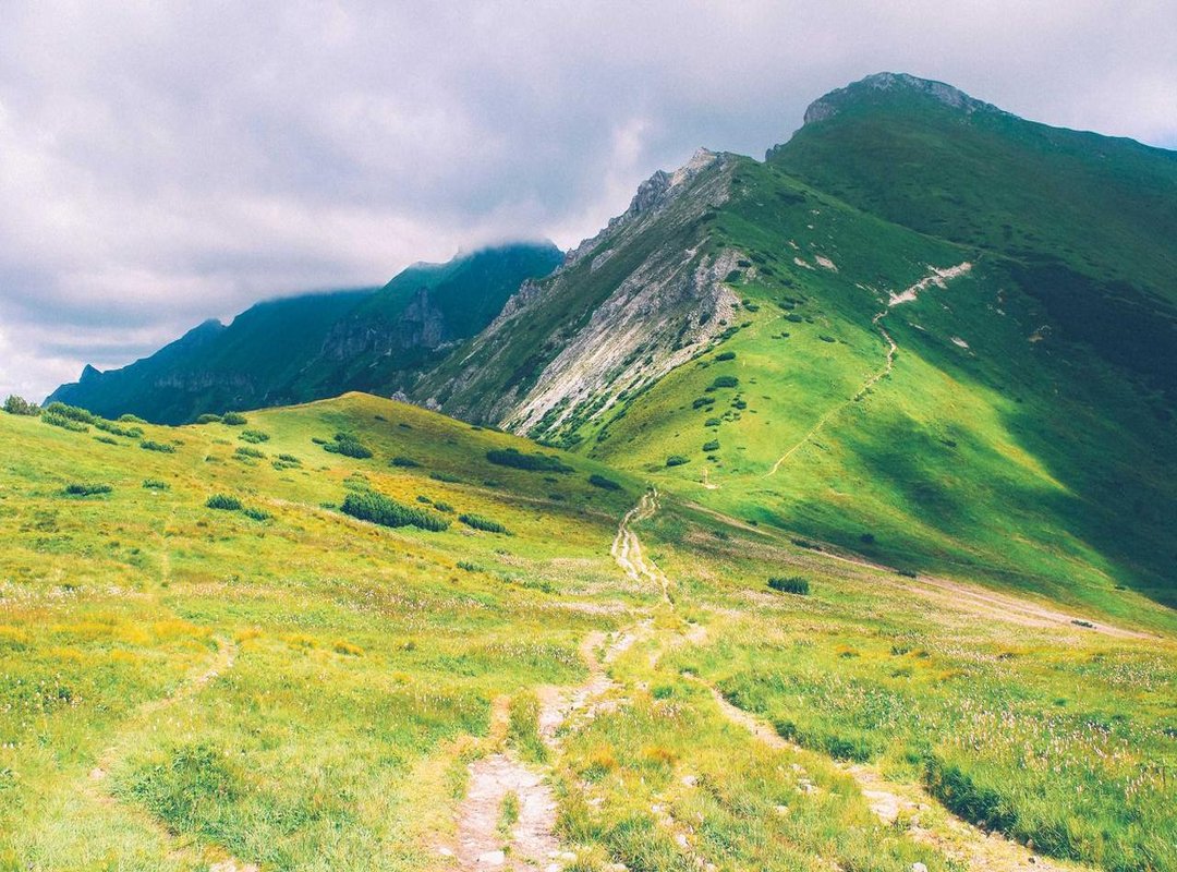 Beyond Food: Using the Husk and Shell for Survival Gear