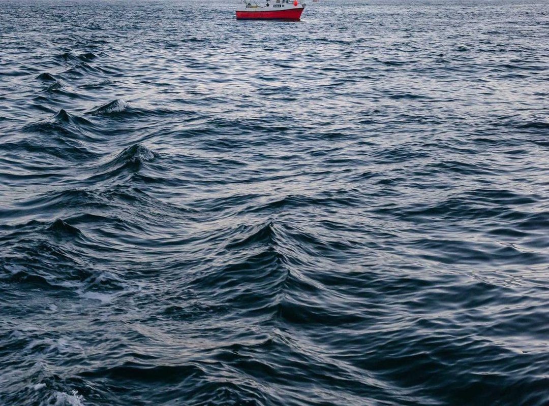 From Happy Clouds to Cute Kittens: Drawing Animals and Objects