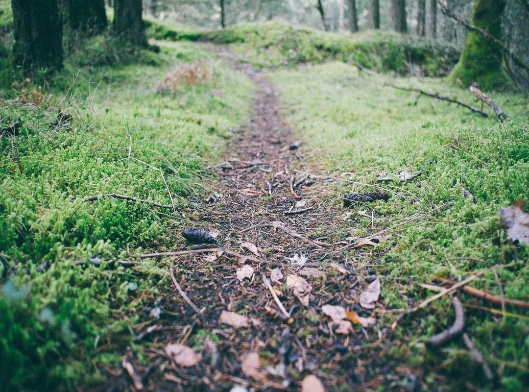 Designing Your Unique Forearm Piece: A Step-by-Step Guide