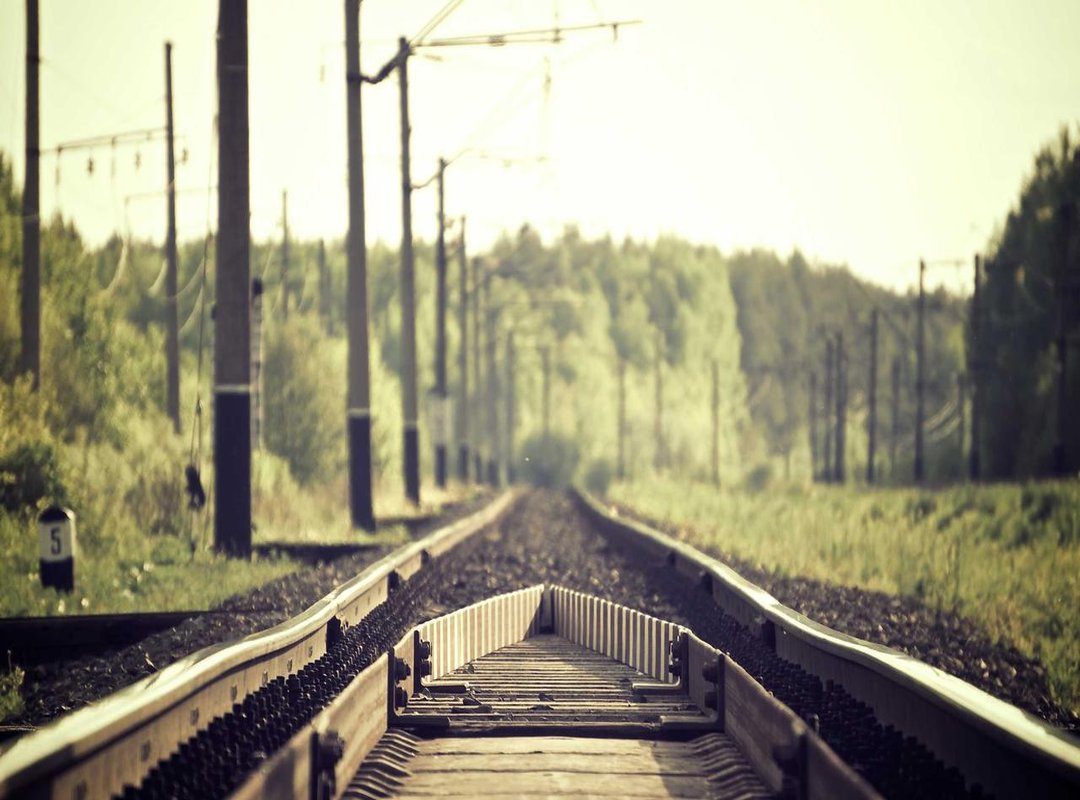 Finding Your Niche: From Psychological Thrills to Brutal Action