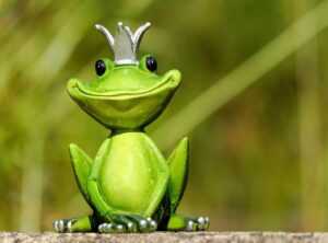 prince shrek brun