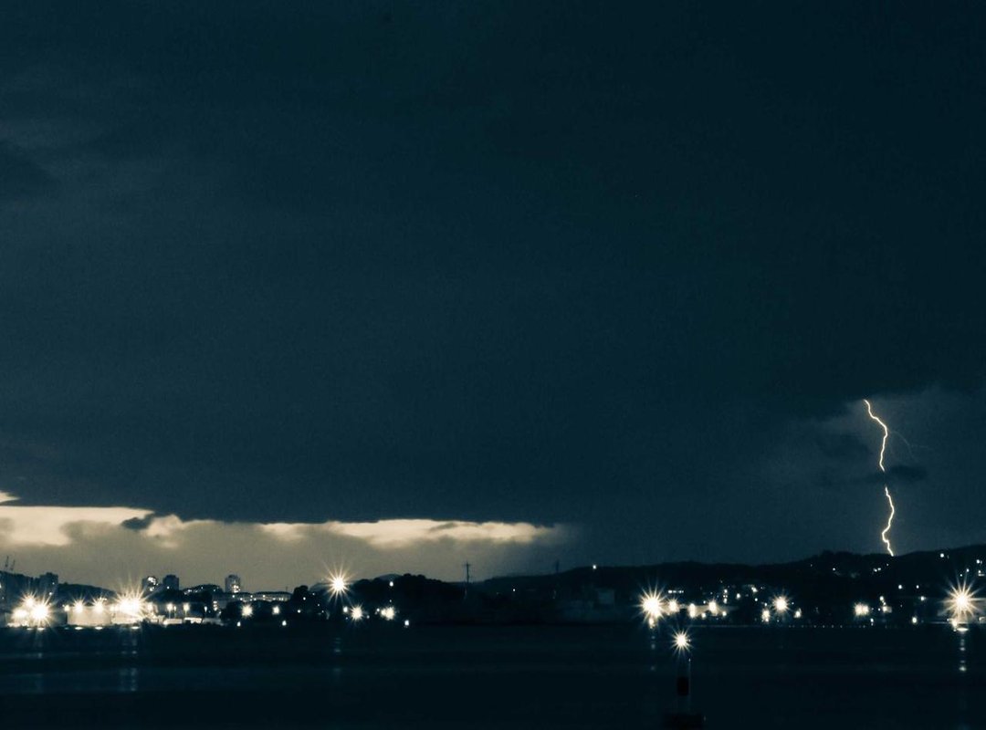 What You'll Find on Her Twitter Feed: A Content Breakdown