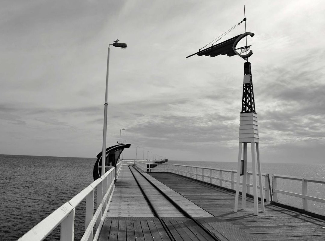 How to Securely Download Movies for Offline Viewing (The Right Way)